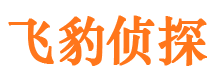 龙城寻人公司